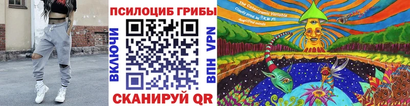 mega рабочий сайт  Колпашево  Галлюциногенные грибы Psilocybine cubensis 